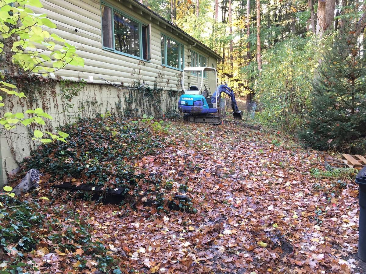 Overgrown side yard before excavation, ivy and leaf cover, mini excavator staged